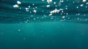 How to Keep Leaves and Debris Out of Your Pool?