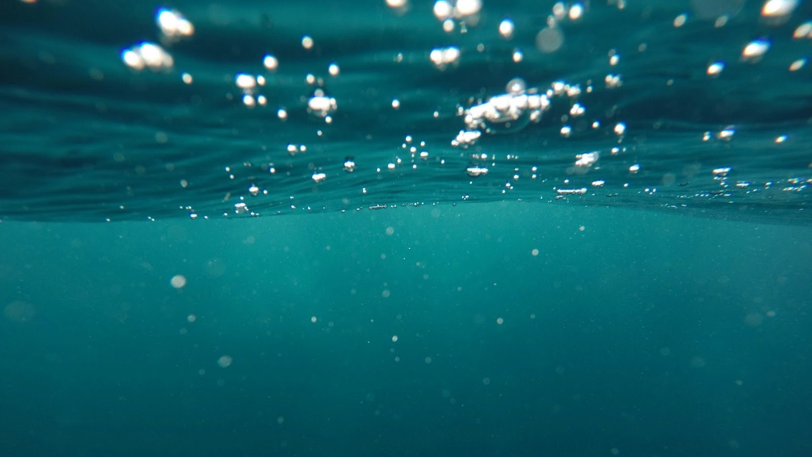 How to Keep Leaves and Debris Out of Your Pool?